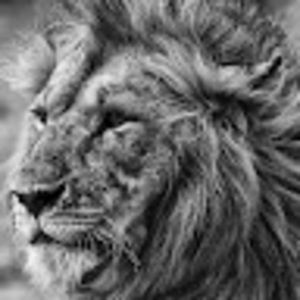 Meet your Posher, G d